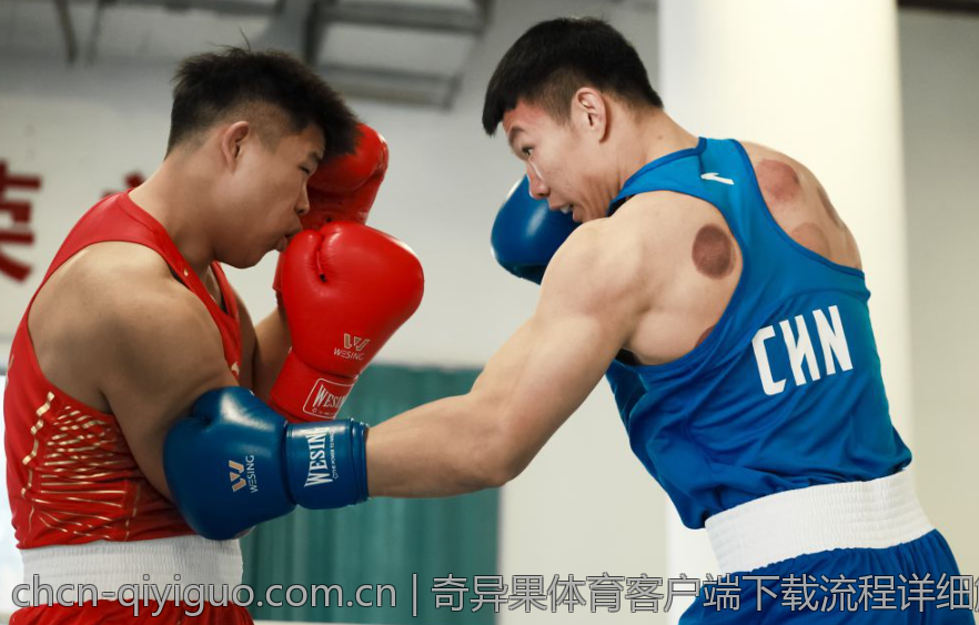 奇异果体育客户端下载流程详细解析