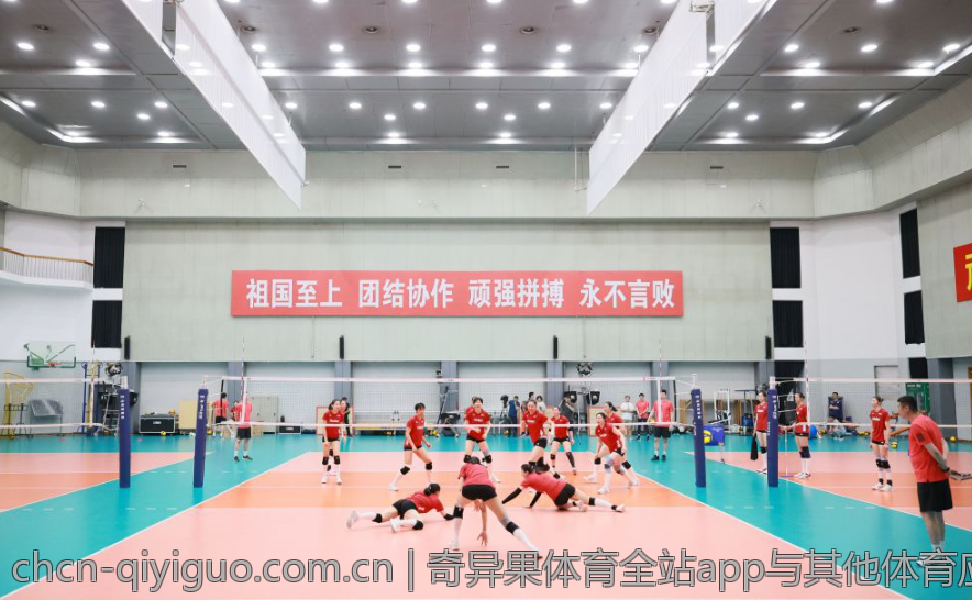奇异果体育网址新手指南：从入门到精通
